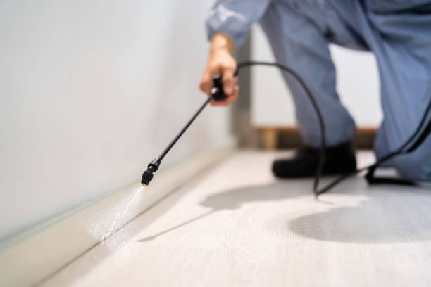 Licensed Pest Control service in Emeryville, CA - Show Me Pest Control