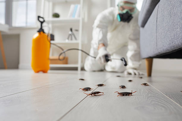 Commercial Kitchen Cockroach Control in Emeryville